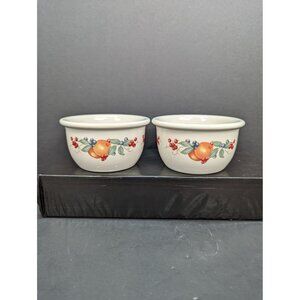 Corelle Coordinates Abundance Stoneware 7 Oz Ramekin Dessert Cups Lot of 2